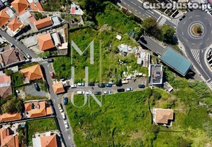 imagem_11