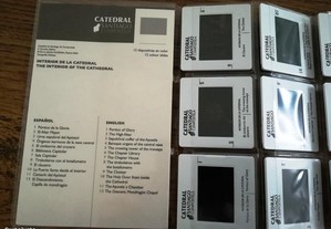 imagem_4