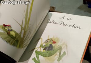 imagem_5