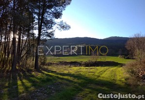 TERRENO AGRÍCOLA, plano, orografia regular, abundância de água e fértil - Guarda