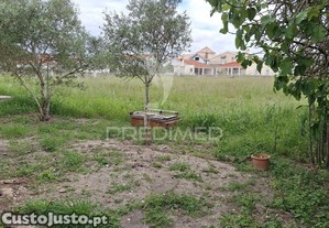 imagem_39
