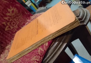 imagem_10