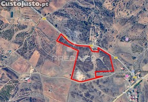 Terreno rústico com 7,3ha no azinhal, pode construir 300m2