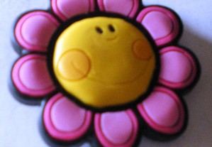 imagem_8