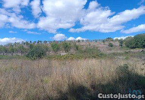Terreno Agrícola em Azinhoso de 2874,00 m²
