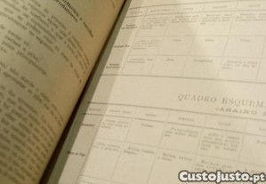 imagem_7