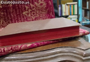 imagem_6