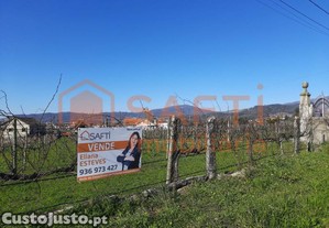 Magnifica Quinta Com Moradia T4 E Vinha