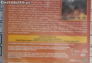 imagem_6
