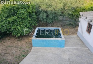 imagem_20