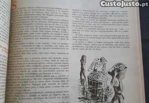 imagem_8