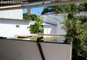 imagem_7