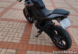 imagem_4