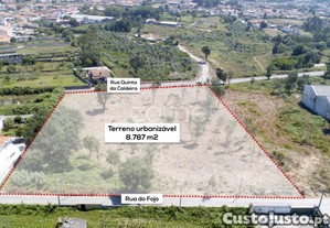 Terreno Para Construção Com 8.787 M2 - Arcozelo...