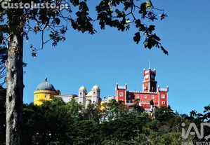 imagem_29