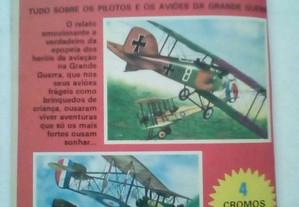 imagem_6