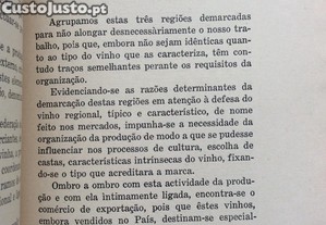 imagem_6