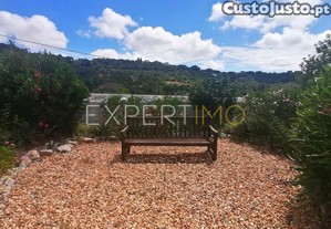 imagem_24