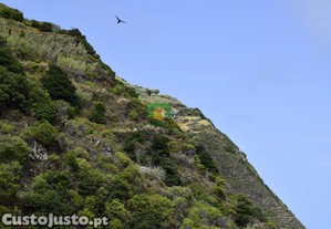 imagem_14
