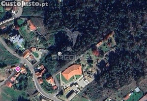 Terreno 9380 m² com potencial de construção | boim lousada