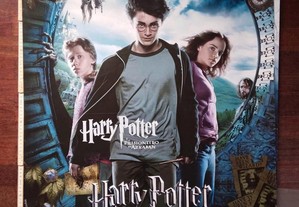 imagem_19