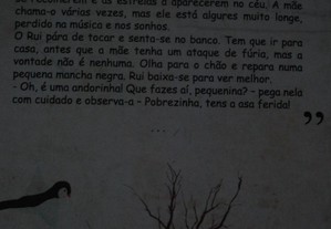 imagem_7