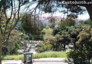 imagem_28
