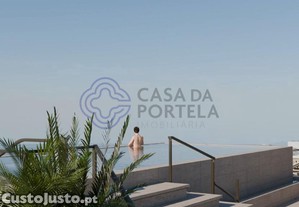 imagem_13