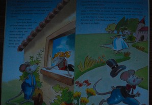 imagem_4