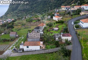 imagem_19