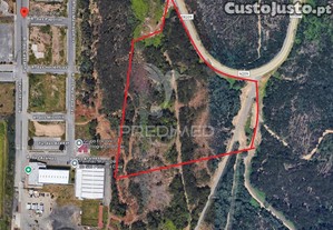 Terreno rústico com 25.000 m² em são pedro da cova   potencial agrícola e lazer