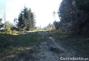 imagem_8