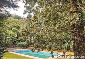 imagem_10