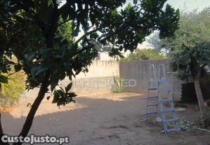 imagem_32