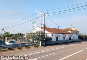 imagem_29