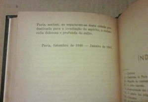 imagem_8