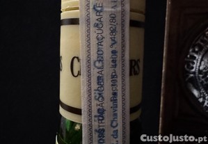 imagem_4