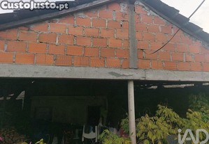 imagem_20