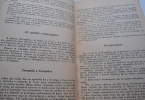 imagem_6