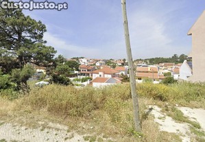 imagem_6