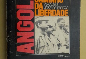 "Angola - O Longo Caminho da Liberdade" de Amadeu