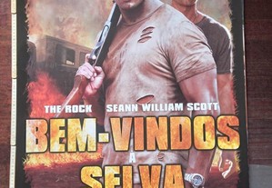 imagem_16
