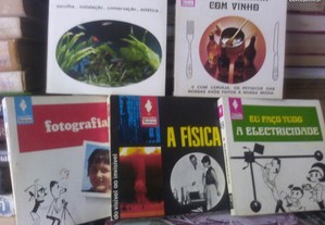 imagem_6