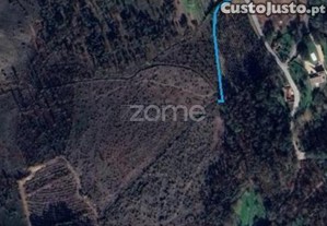 Terreno Florestal Sito Em Guimarei!