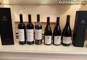Lote Tintos Premium