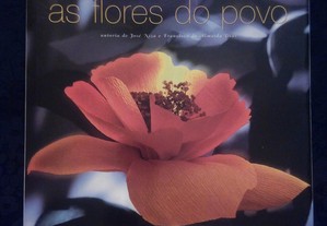As flores do povo - Campo Maior