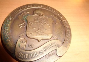 Medalha Bombeiros Oliveira do Bairro Of.Envio