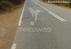 imagem_13