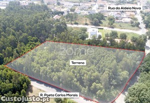 Terreno Urbanizável Com Área De 8.170 M2 -...