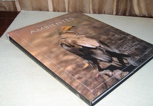 imagem_8
